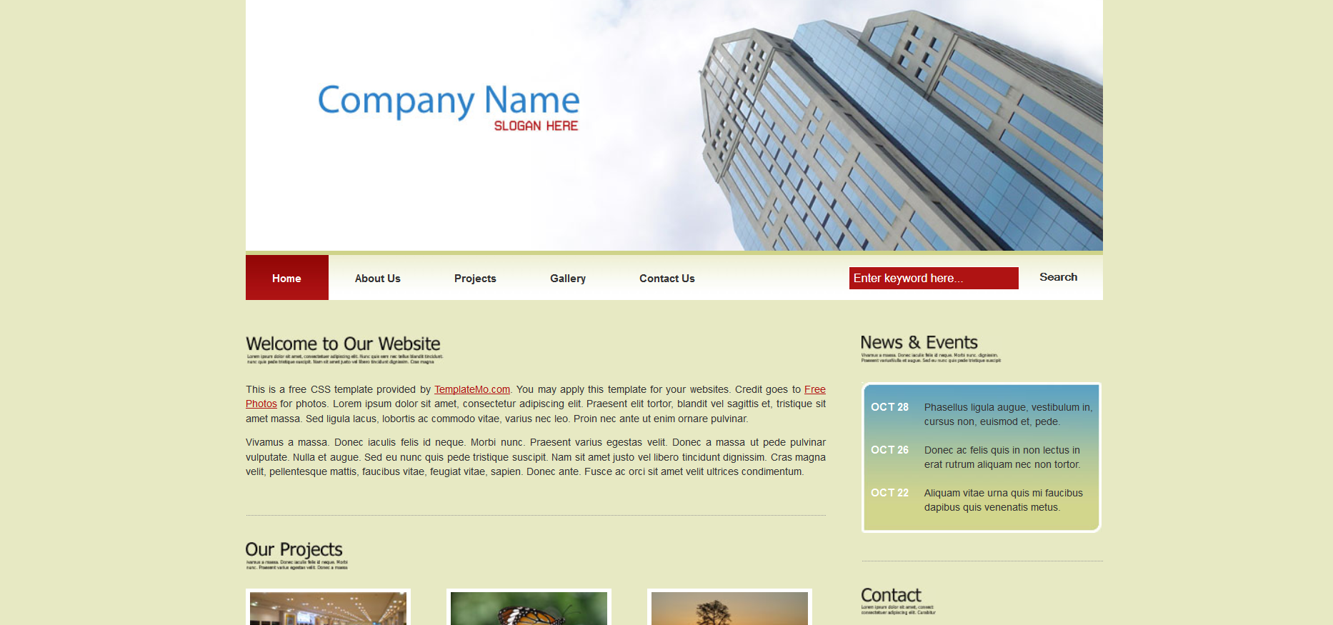 Шаблон сайта Персональные №482